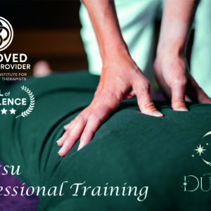 shiatsu energy healing massage professional training
