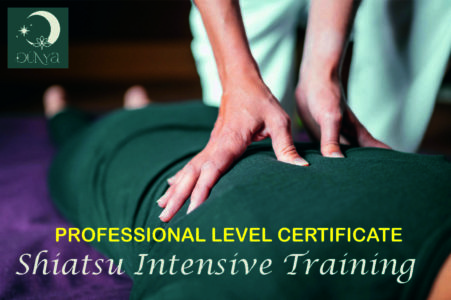 SIT Professional level certificate